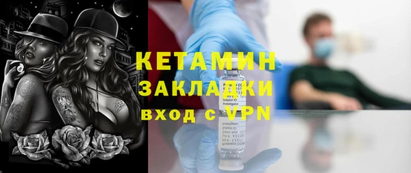 гидра Снежногорск