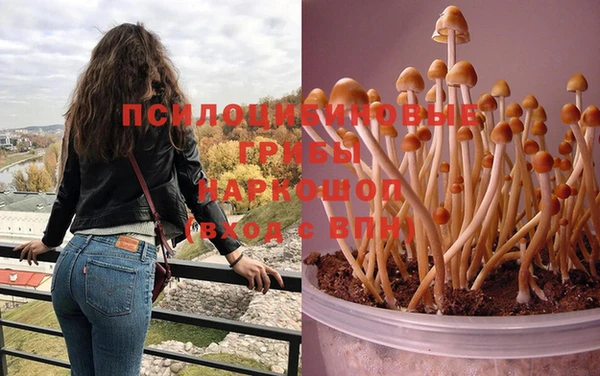 кокаин колумбия Баксан